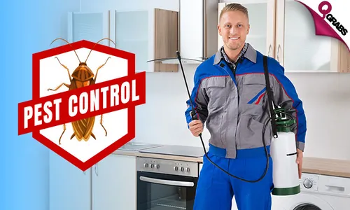 Pest Control: Cockroach & Bedbug Treatment Services!